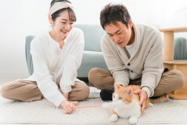 ペットカメラのイメージ画像